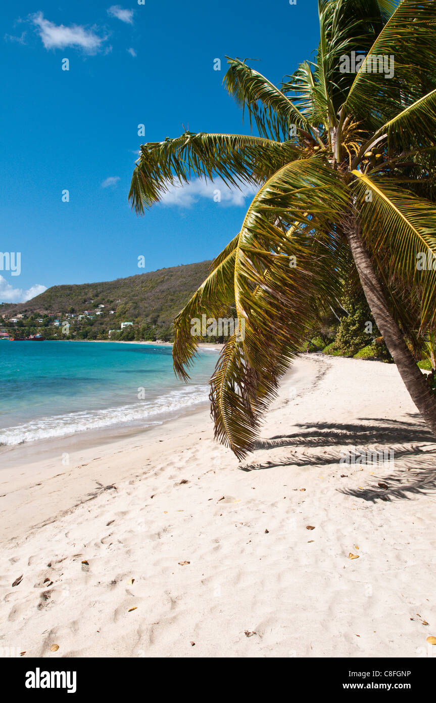 Friendship Bay beach, Bequia, St. Vincent and The Grenadines, Windward Islands, West Indies, Caribbean, Central America Stock Photo