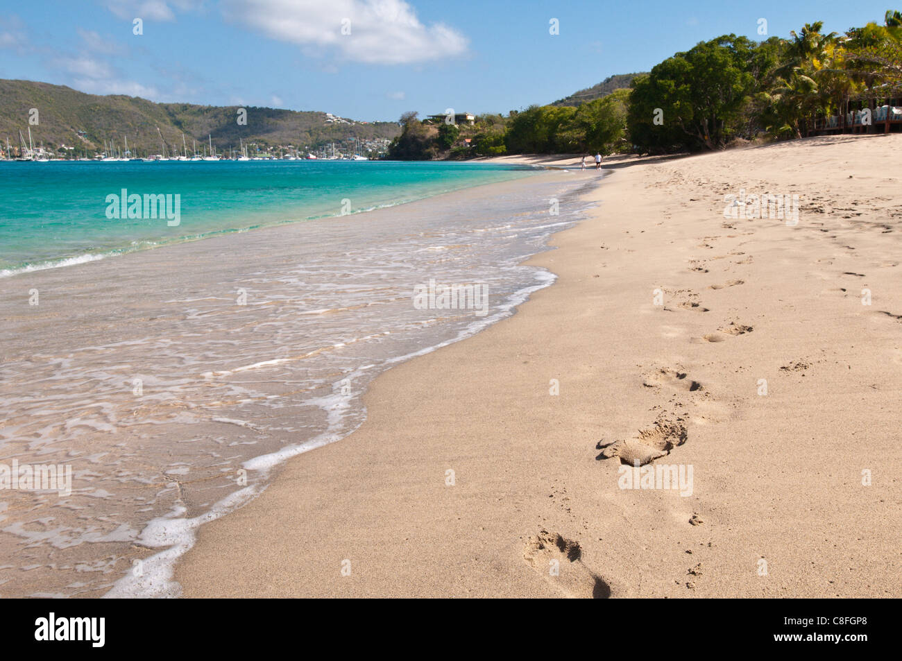 Princess Margaret Beach, Bequia, St. Vincent and The Grenadines, Windward Islands, West Indies, Caribbean, Central America Stock Photo