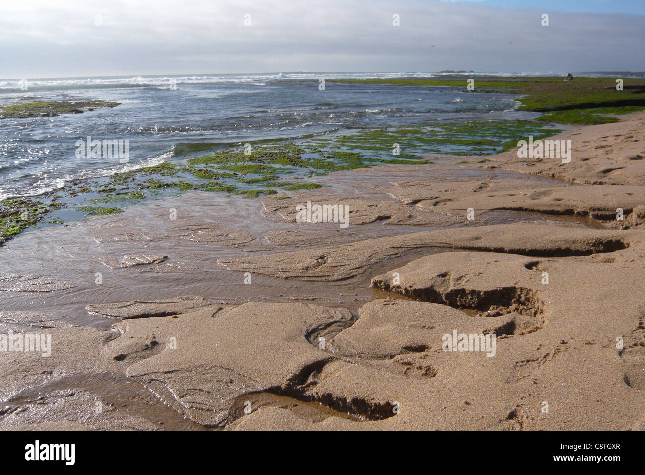 Portugal, Europe, low, ebb, tide, Atlantic, scenery, moss, green, beach, seashore, sea, stones Stock Photo
