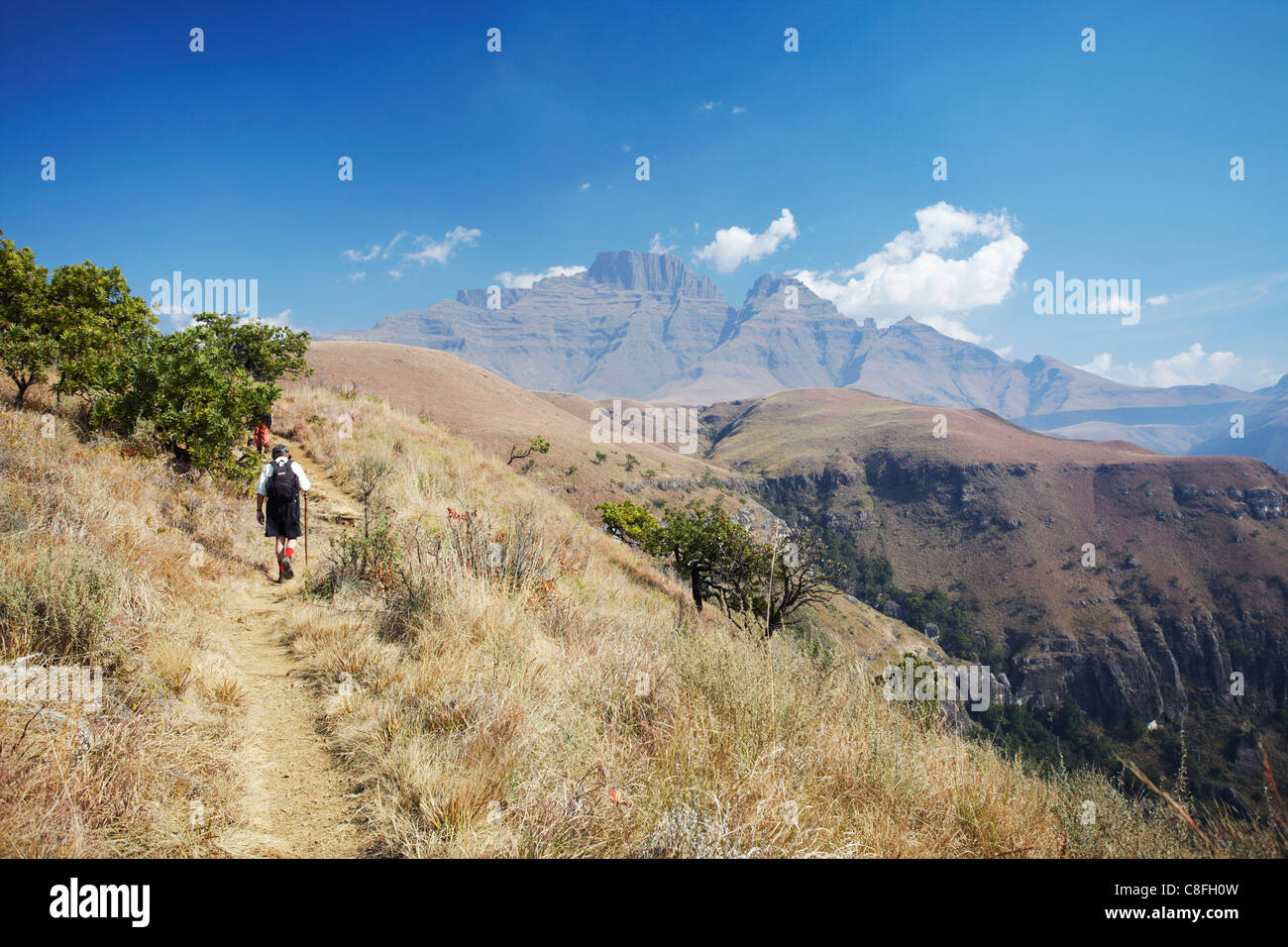 Monk's Cowl Nature Reserve, Ukhahlamba-Drakensberg Park, UNESCO World Heritage Site, KwaZulu-Natal, South Africa Stock Photo