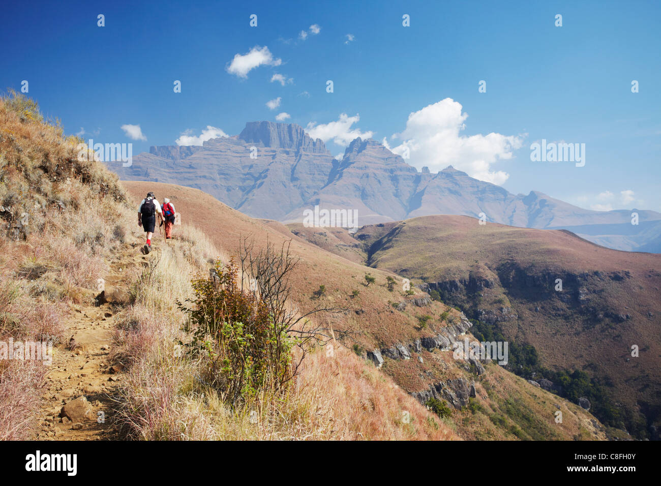 Monk's Cowl Nature Reserve, Ukhahlamba-Drakensberg Park, UNESCO World Heritage Site, KwaZulu-Natal, South Africa Stock Photo