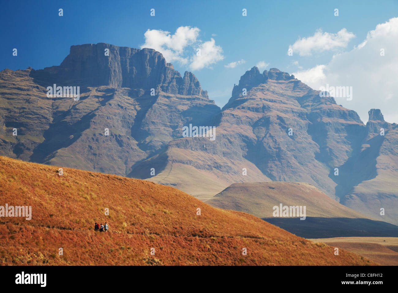 Monk's Cowl Nature Reserve, Ukhahlamba-Drakensberg Park, UNESCO World Heritage Site, KwaZulu-Natal, South Africa Stock Photo