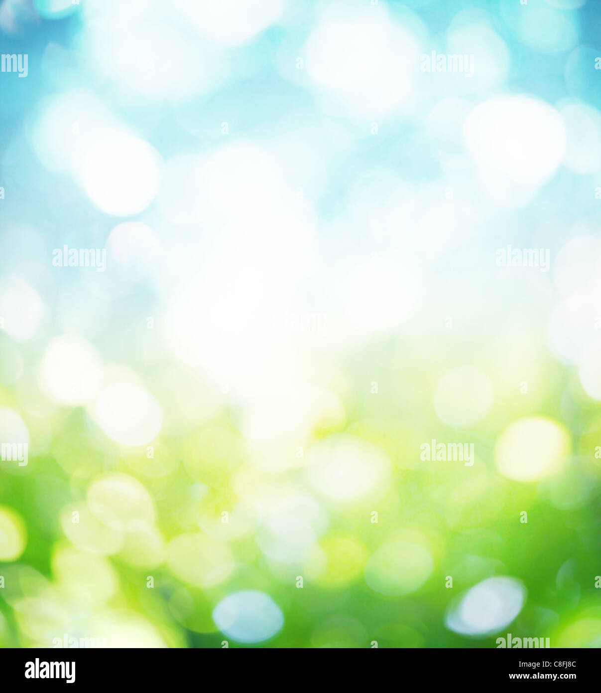 Nature blur background. Stock Photo