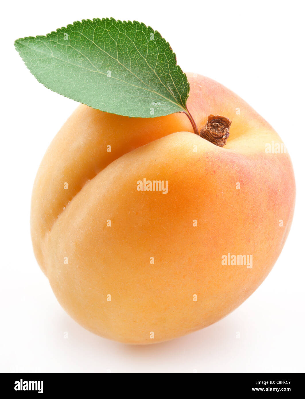 Apricot with leaf on a white background. Stock Photo