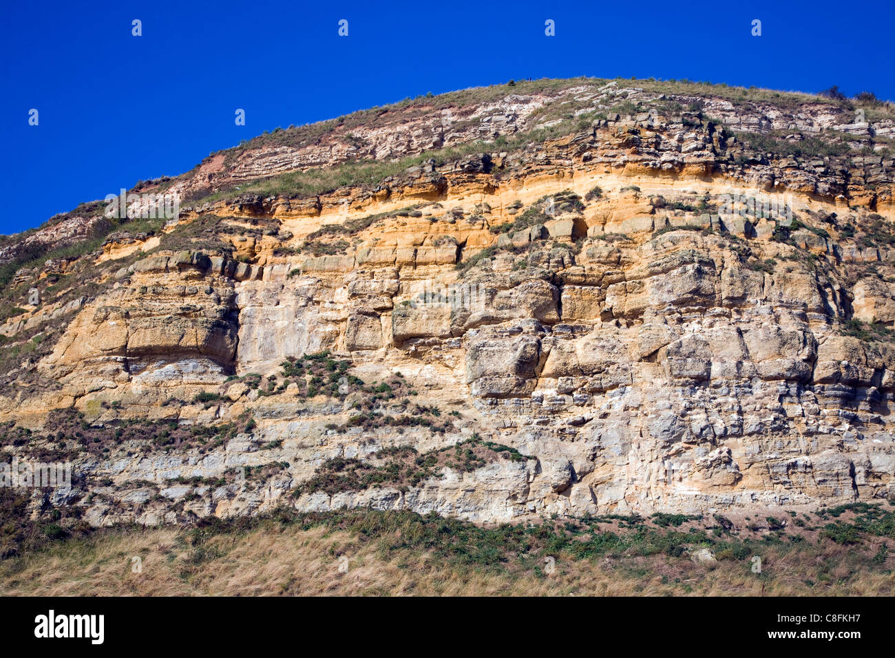 Limestone and sandstone cliffs of the headland at Scarborough, Yorkshire, England Stock Photo