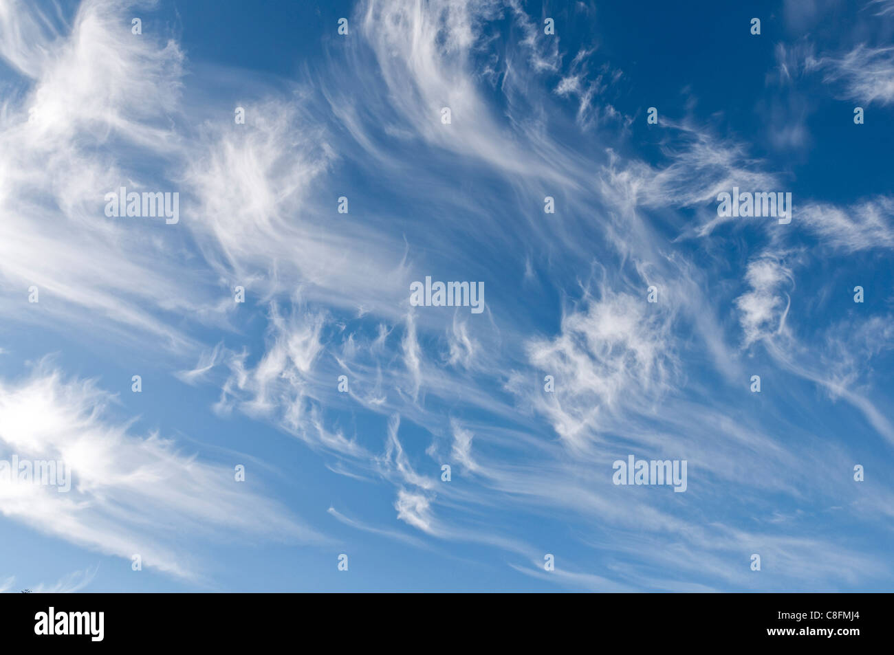 Cirrus clouds. Stock Photo