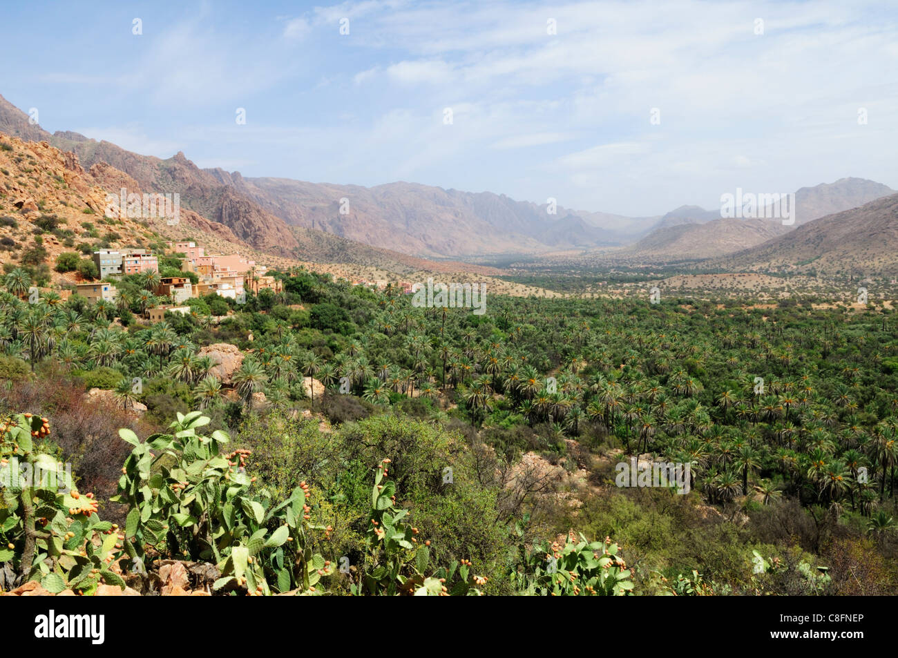 Oasiis in the Ameln Valley, Tafraoute, Souss-Massa-Draa Region, Morocco Stock Photo