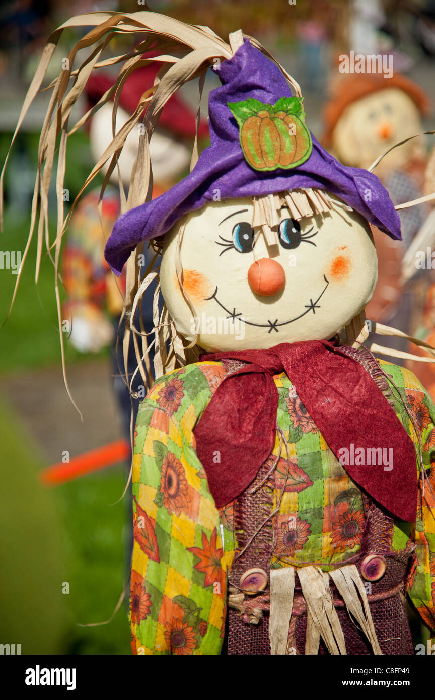 Crow fair hi-res stock photography and images - Alamy
