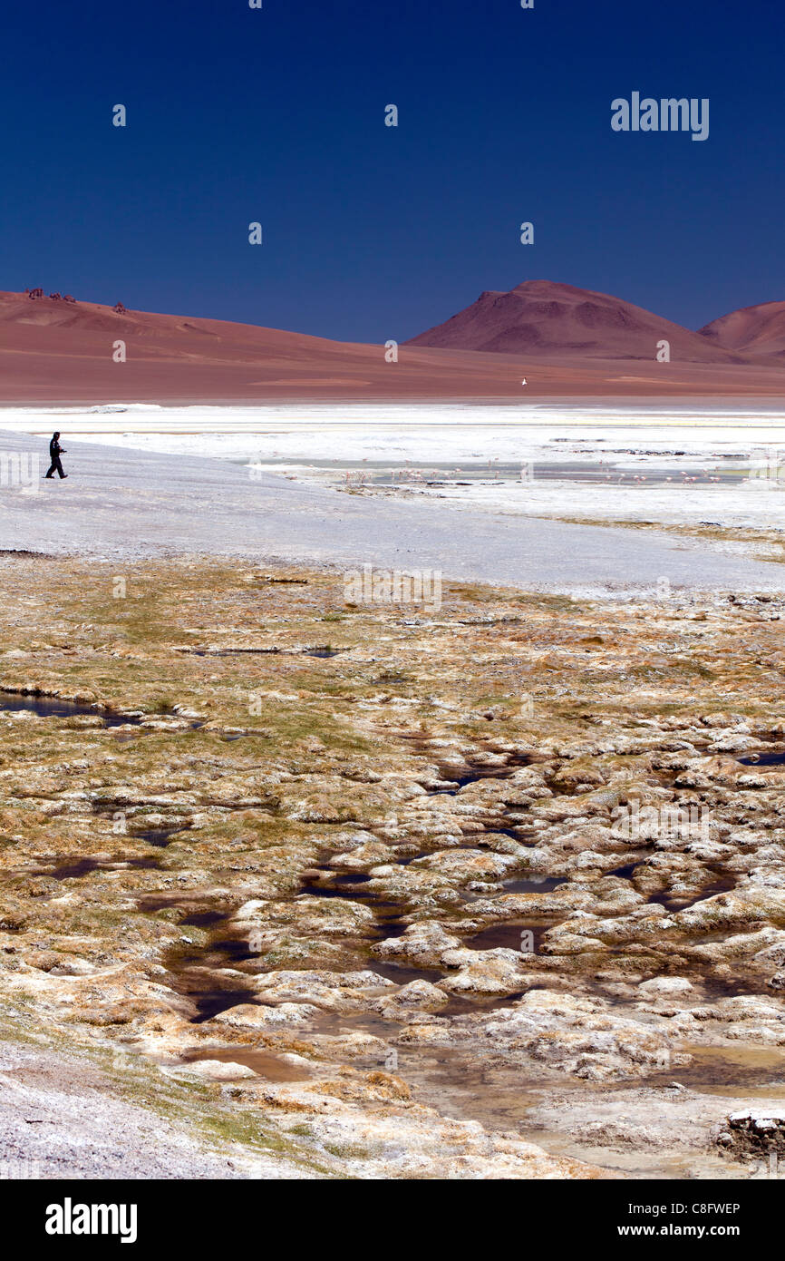Man on lake's edge at Pujsa Salt Lake, Atacama Desert, Chile Stock Photo