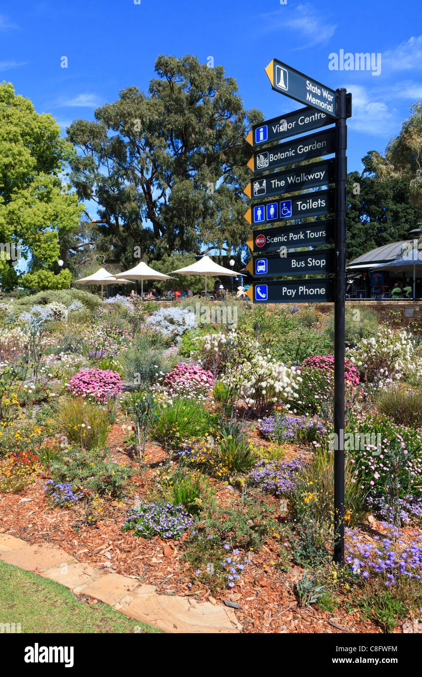 Native Western Australian wildflower display at Kings Park, Perth, Western Australia Stock Photo