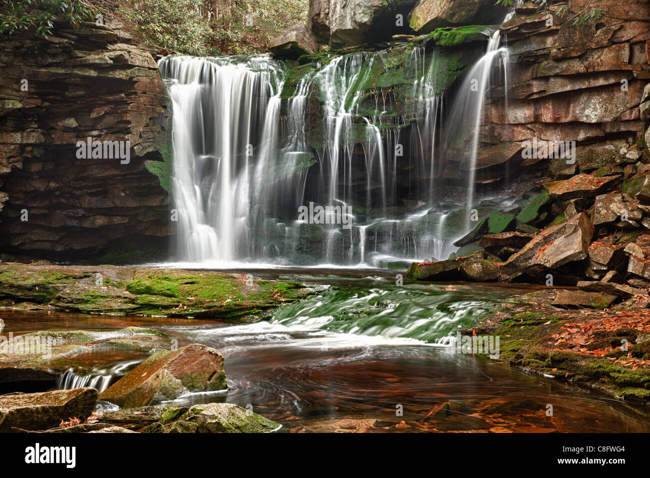 Elakala falls in Blackwater State park in West Virginia, USA Stock Photo