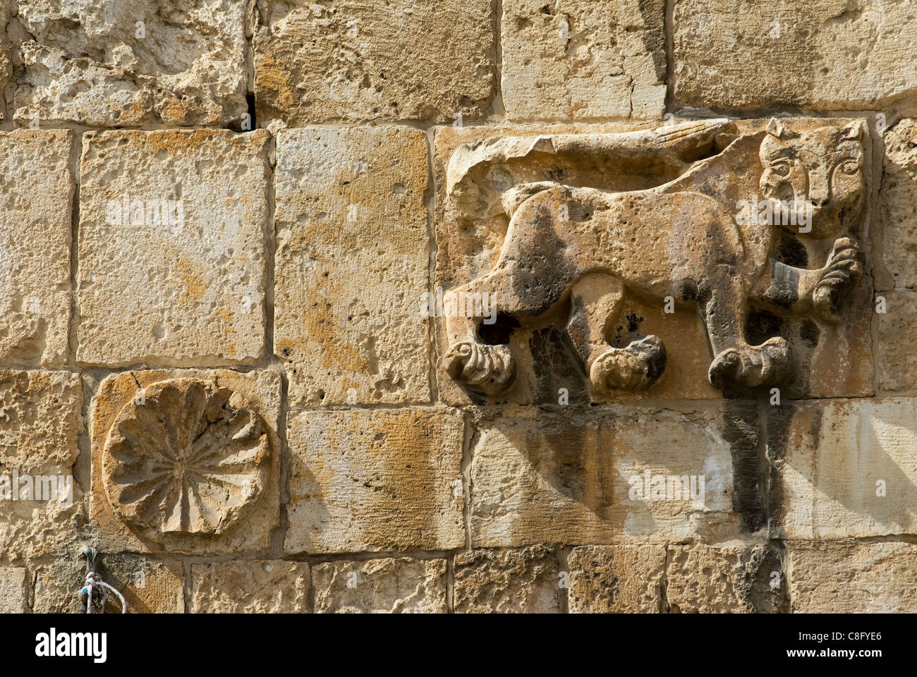 Heraldic emblem of Mamluk Sultan Baybars in shape of lion on the 16th century Lion's or St Stephen's Gate also Bab al-Asbat in the Ottoman wall located at the eastern edge of the Old City of Jerusalem Israel Stock Photo