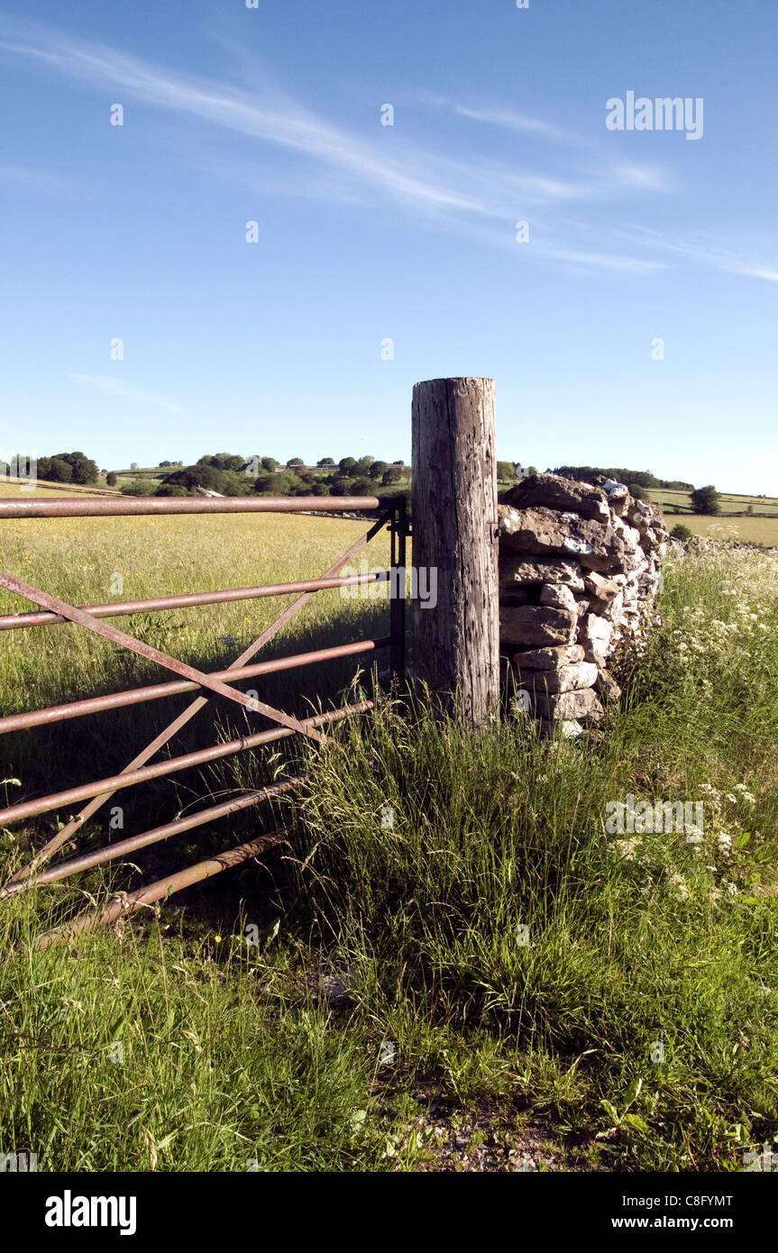 grazing land Derbyshire Stock Photo Alamy