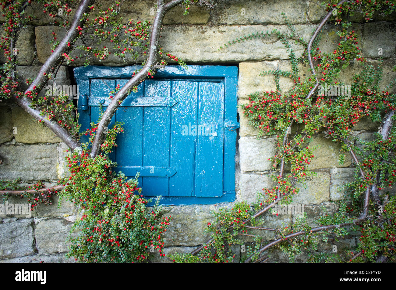 Small large hinged access door on a stone outbuilding Stock Photo