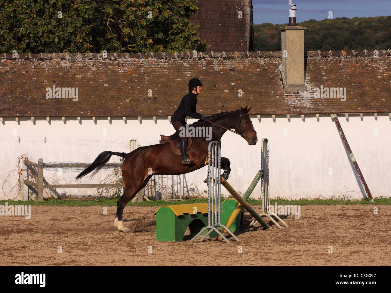 horse and rider has a jumping contest Stock Photo - Alamy