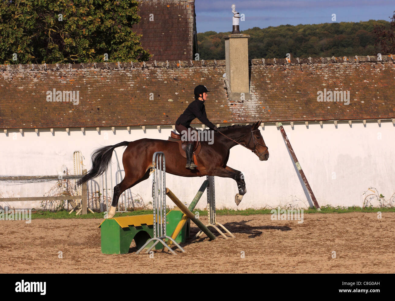 horse and rider has a jumping contest Stock Photo - Alamy