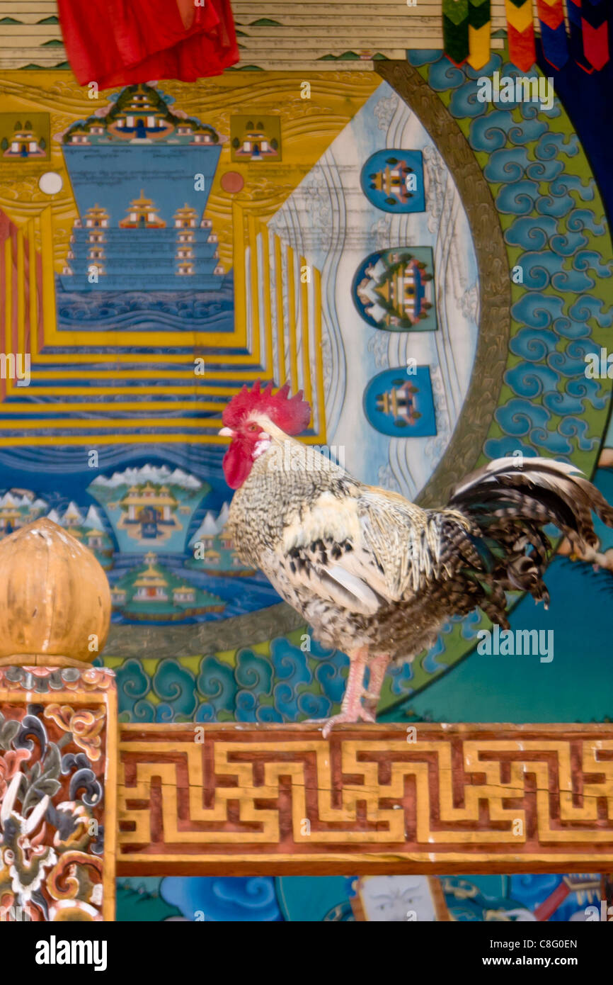 Bhutanese bird hi-res stock photography and images - Alamy