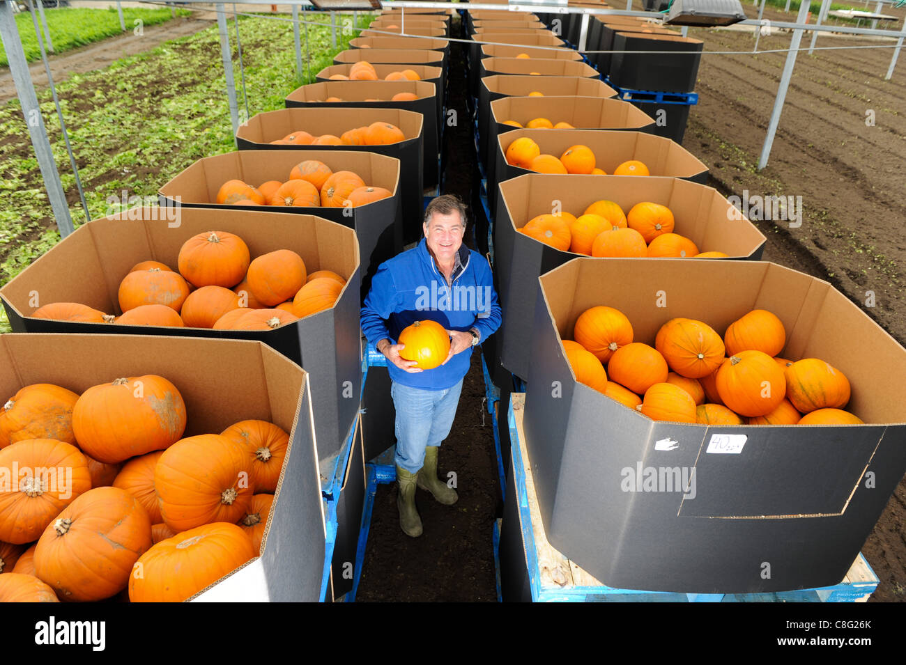 20th October, 2011.Bruce Bentley, General Manager at Keelings Farms