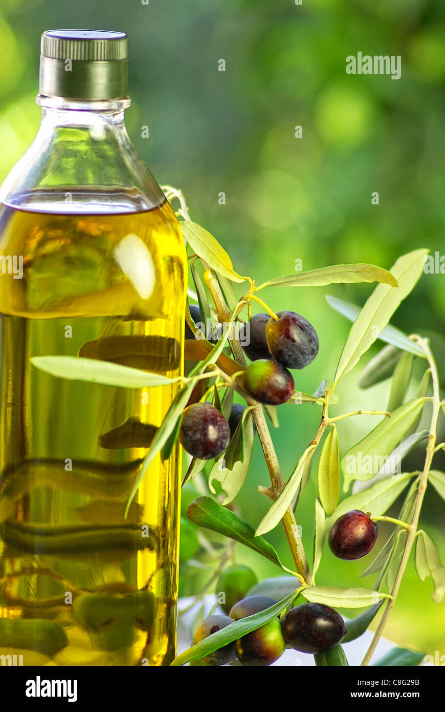 Bottle of extra virgin olive oil Stock Photo - Alamy