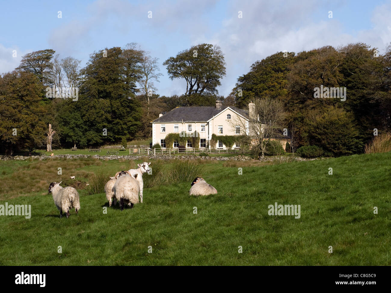 Prince Hall - Country House Hotel & Dartmoor Restaurant ... www.princehall.co.uk,princetown, Two Bridges, Dartmoor National Park Stock Photo