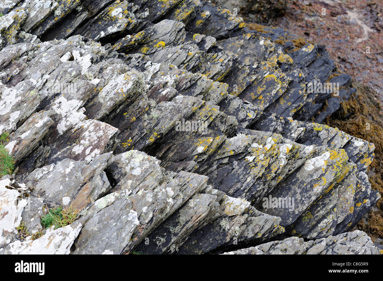 Welsh Major Rocks north wales coastal rock formation portmeirion uk Stock Photo - Alamy
