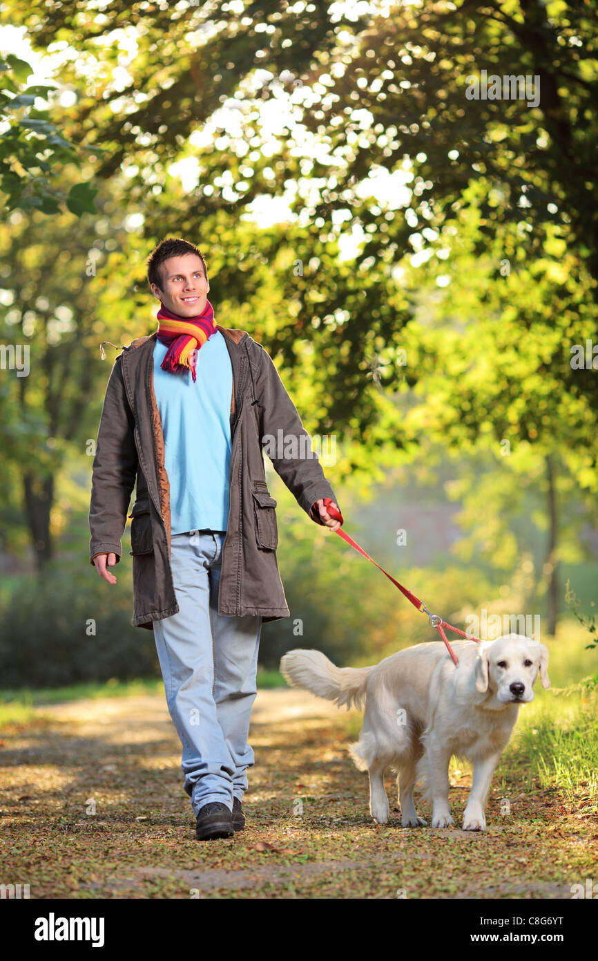 A boy and his dog Labrador retriever walking in the park in autumn Stock Photo