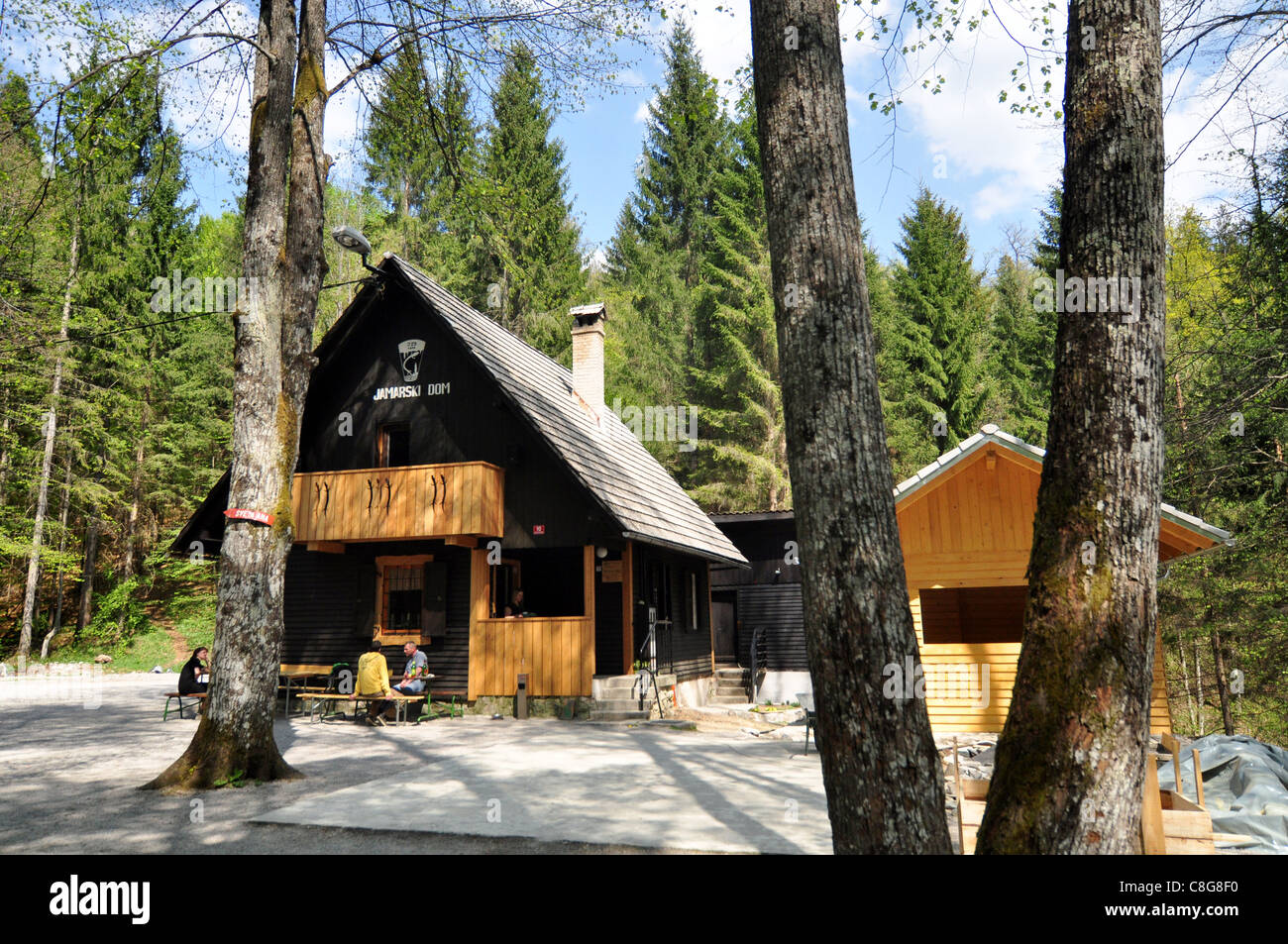 Wooden house in the forest Stock Photo - Alamy