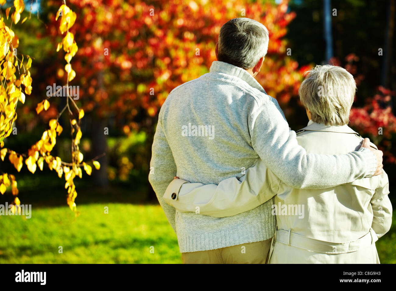 Rear view of aged man and woman taking a walk in autumnal park Stock ...