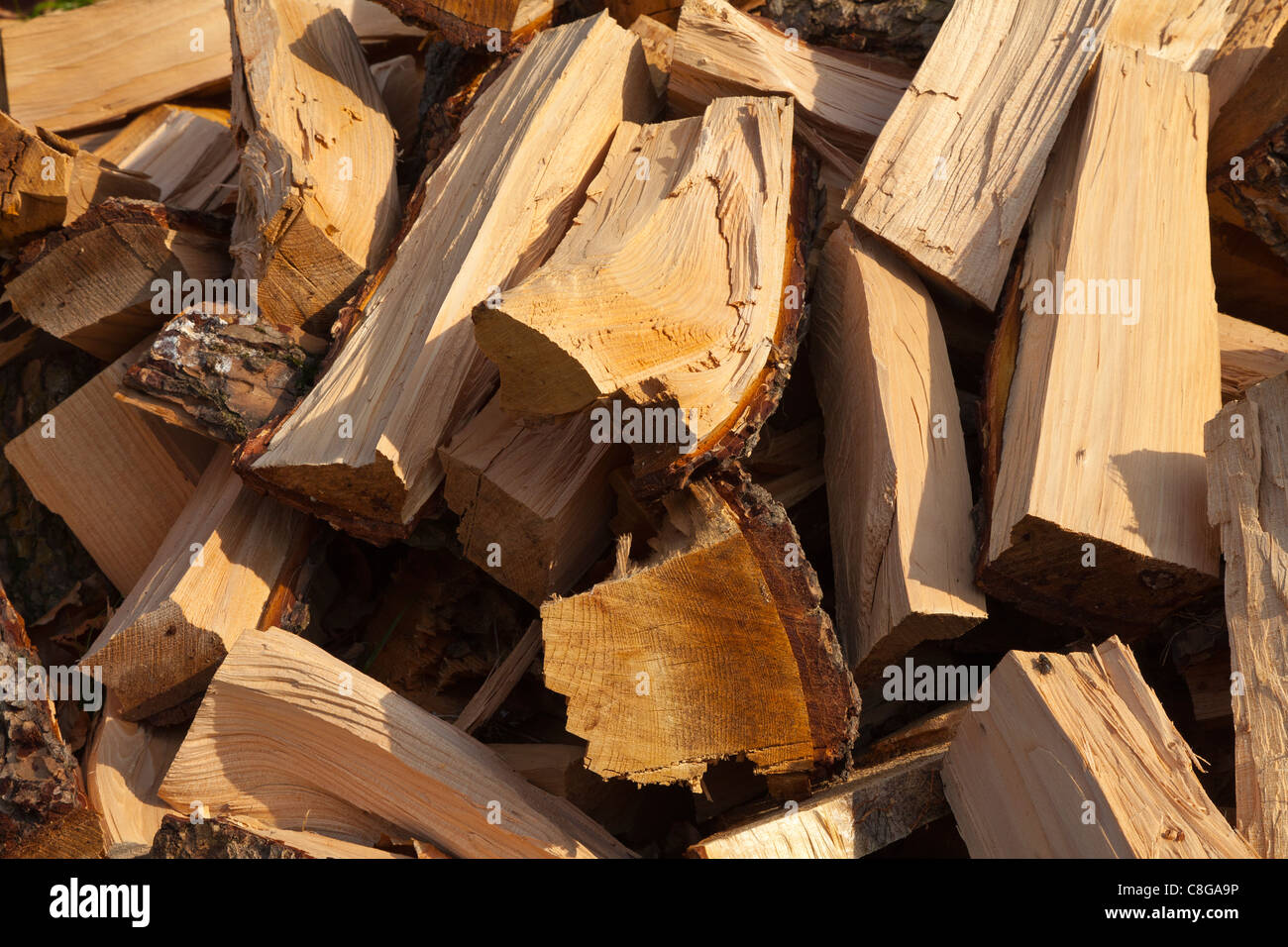 Wood burning fuel from a old tree, piles of logs to be split for open fires and wood burners to