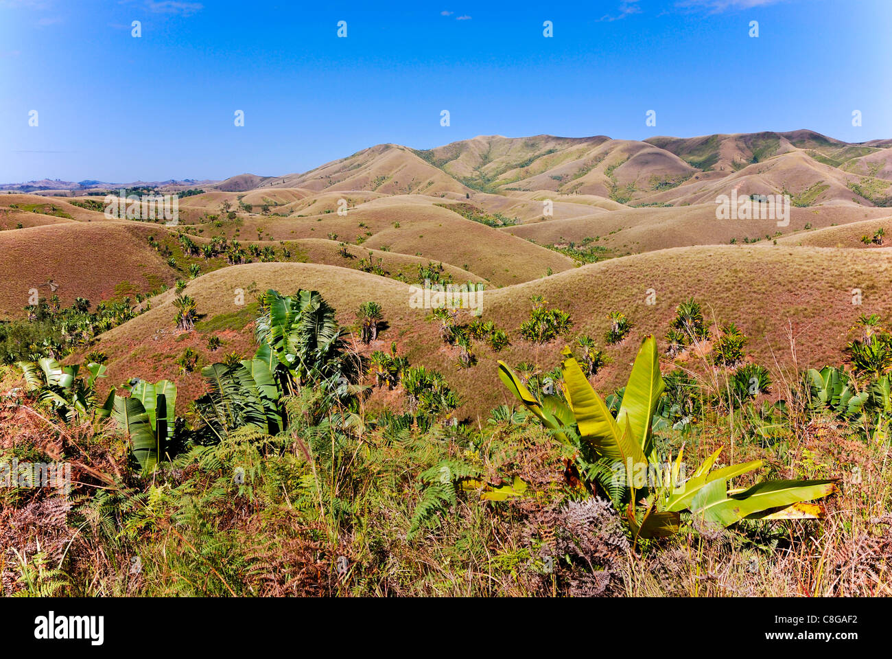 Deforested hills near Manakara, Madagascar Stock Photo