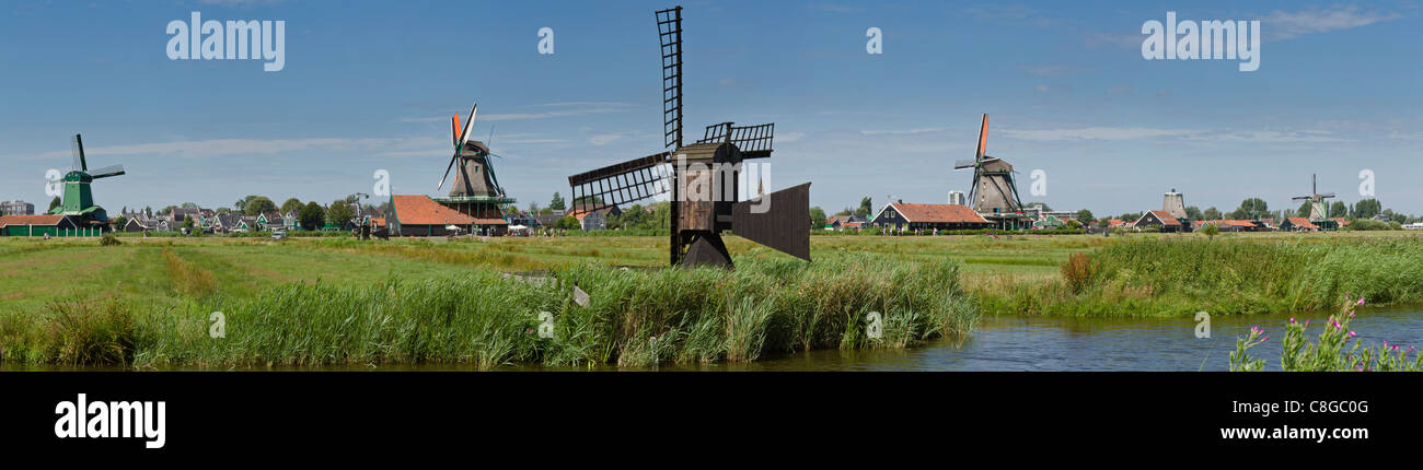 Netherlands, Europe, Holland, Zaandam, Windmills, open air, museum Zaanse Schans, windmill, field, meadow, summer, Stock Photo