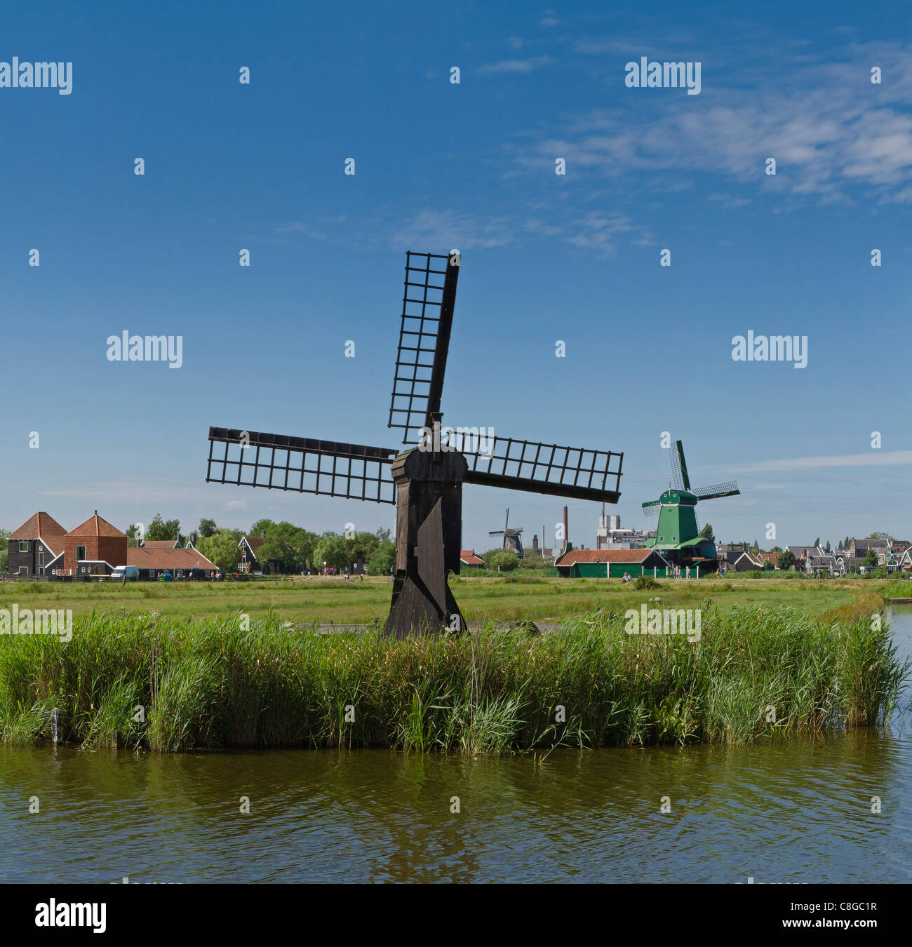 Netherlands, Europe, Holland, Zaandam, Windmills, open air, museum Zaanse Schans, windmill, field, meadow, summer, Stock Photo