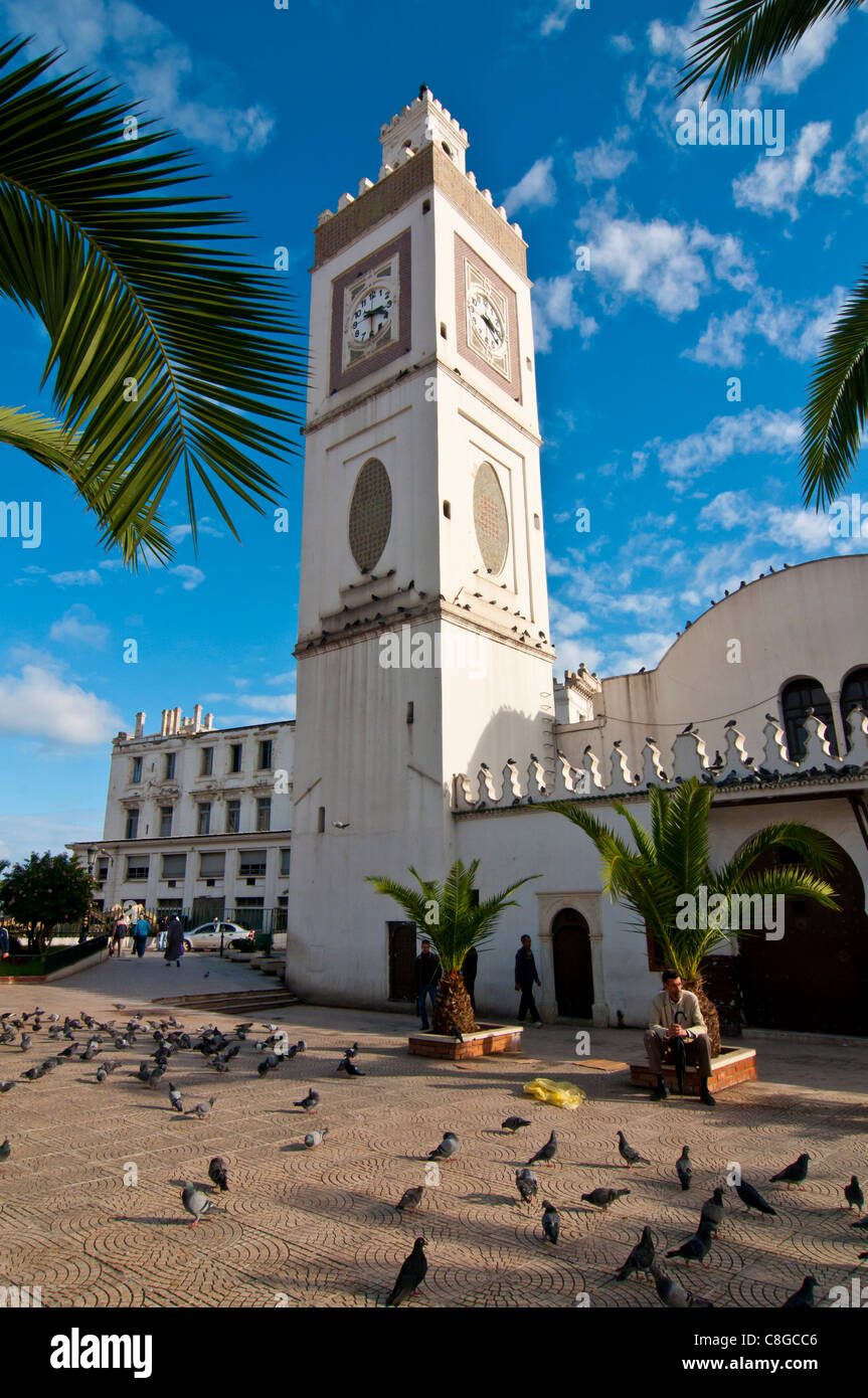 Djamaa El Djedid (Mosque of the Fisherman) on Place Port Said, Algiers, Algeria, North Africa Stock Photo