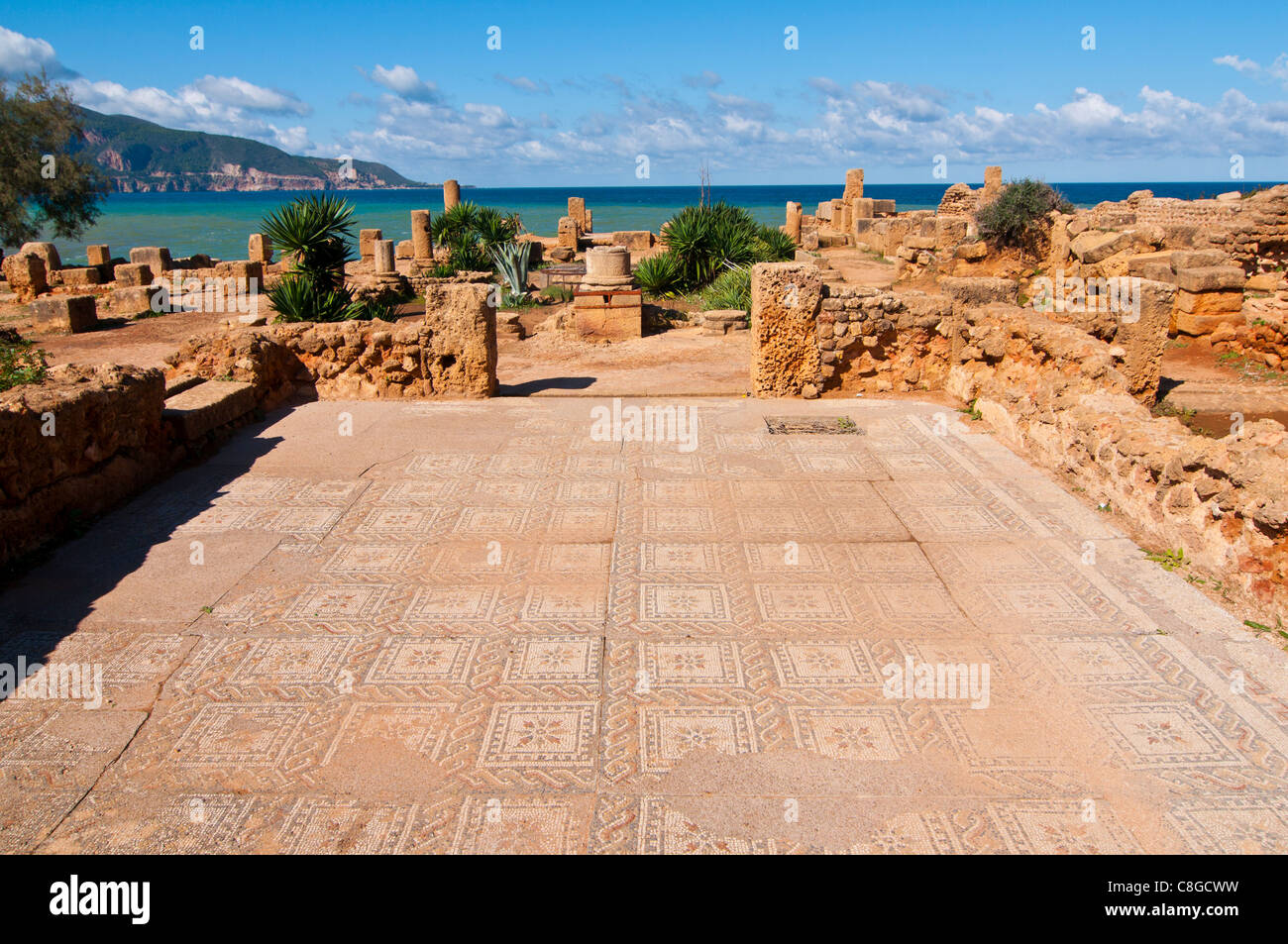 Mosaics at the Roman ruins of Tipasa, UNESCO World Heritage Site, on the Algerian coast, Algeria, North Africa Stock Photo