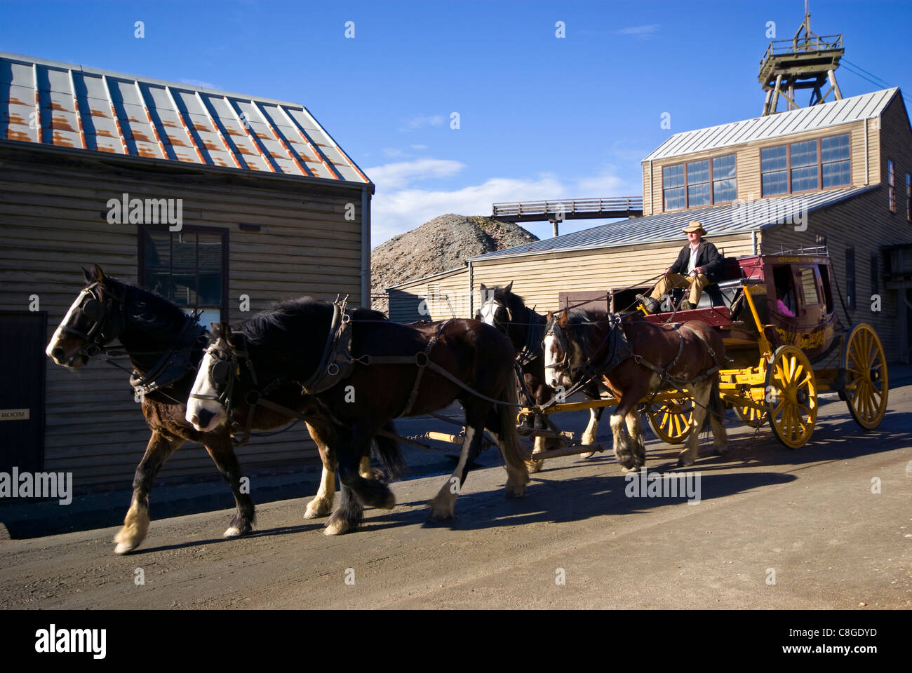 A team of Clydesdale horses pull a stagecoach in a gold mining town. Stock Photo