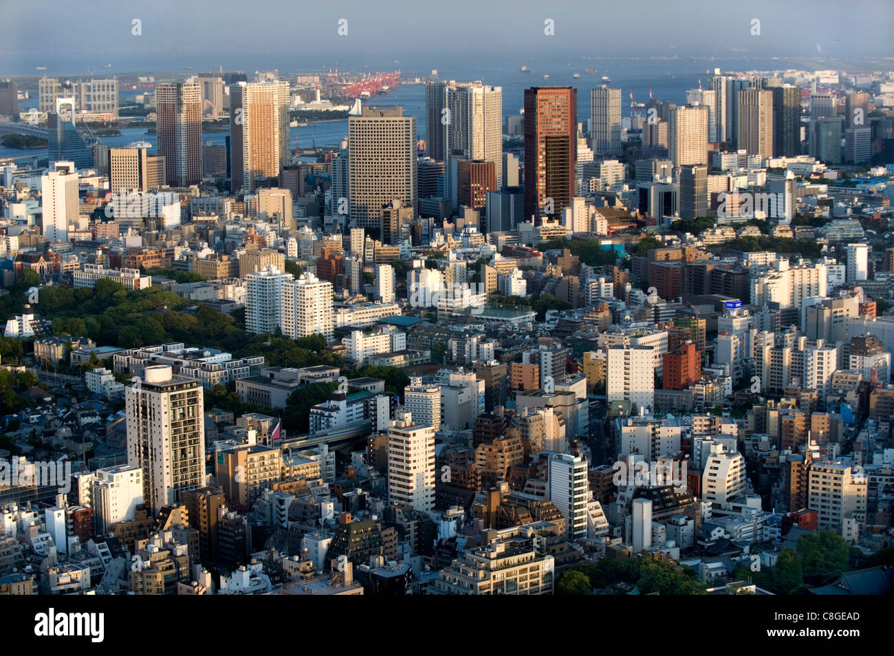 Aerial view of metropolitan Tokyo from atop the Mori Tower at Roppongi Hills, Tokyo, Japan Stock Photo