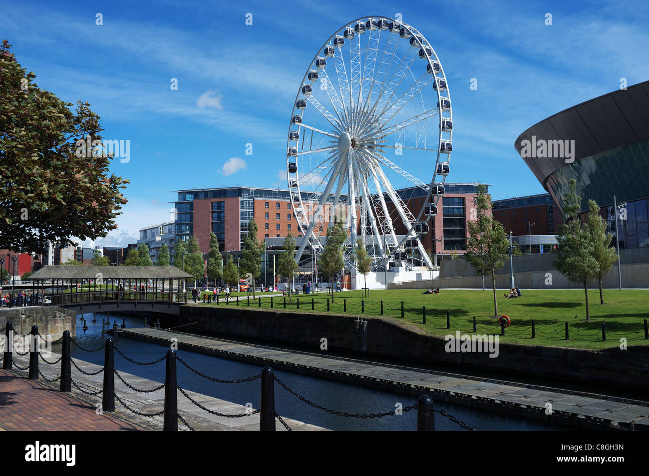 The Liverpool Wheel, Albert Docks, Liverpool, England, UK, Great Britain Stock Photo