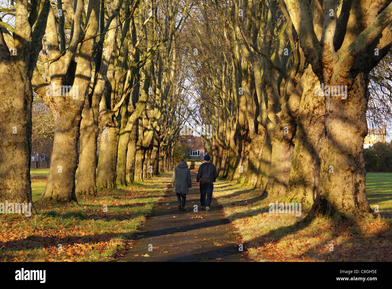 London park old couple walking hi-res stock photography and images - Alamy
