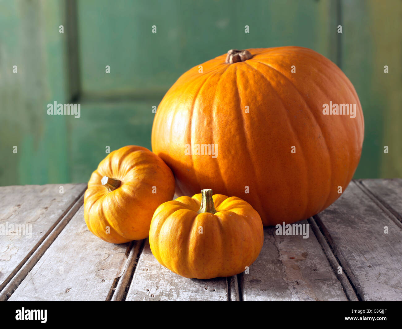 Fresh whole Mini & large orange pumpkins in a rustic setting Stock Photo