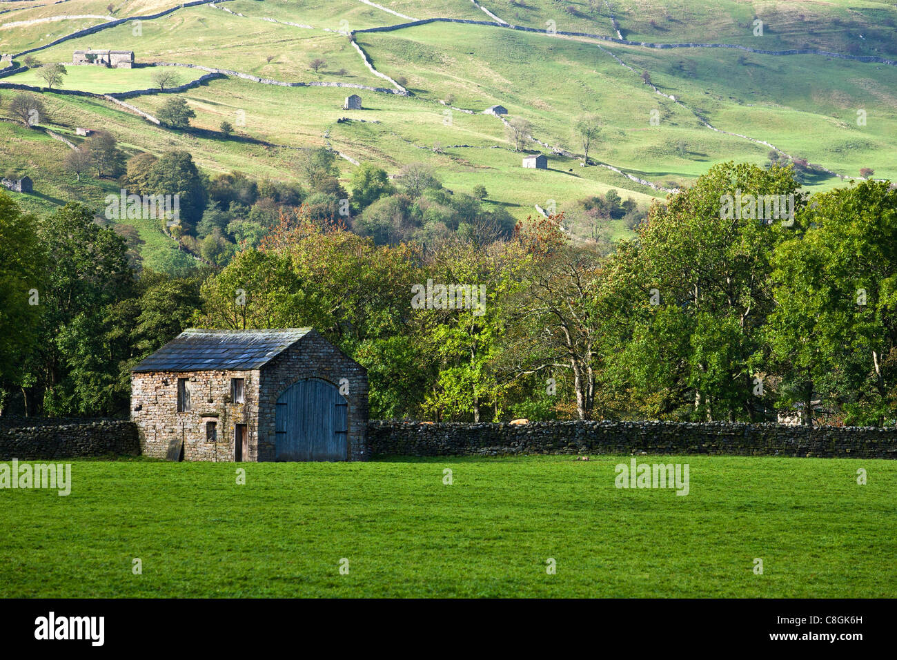 Winter Barns in Swaledale Stock Photo Alamy