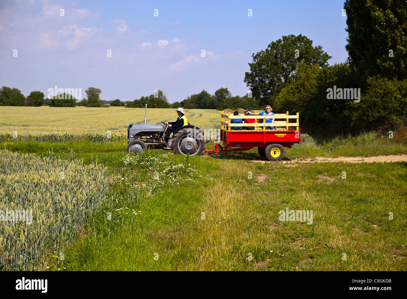 Tractor Run through the Lincolnshire Wolds Stock Photo Alamy
