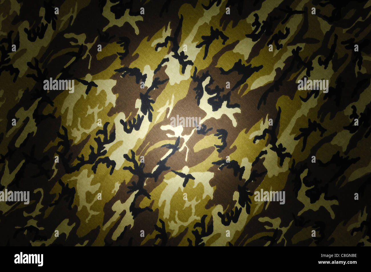 Spotlighting on green, brown, tan and black camouflage material Stock Photo