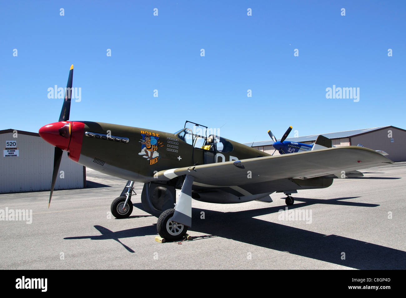 The P51-D Mustang Fighter 'Boise Bee' on her debut at the Warhawk Aviation Museum Stock Photo