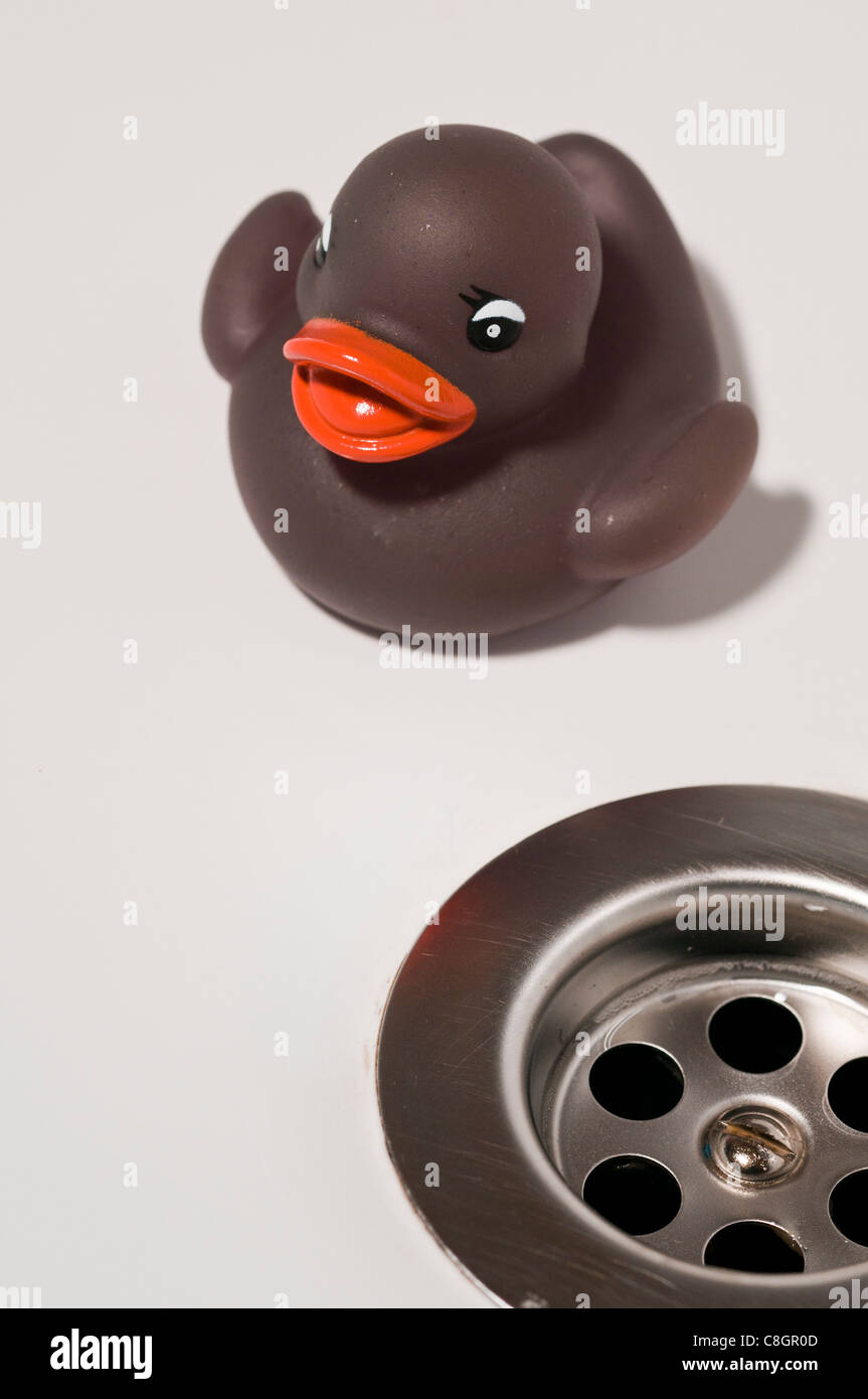 Rubber duck & plug hole Stock Photo Alamy