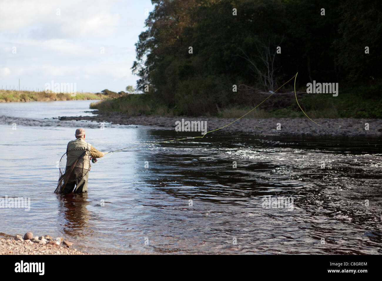 Fisherman fly fishing for Salmon coming up the River North Esk Montrose Scotland UK Stock Photo
