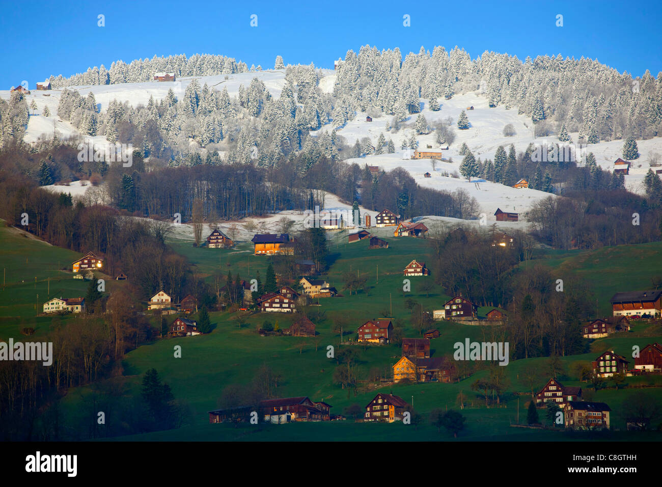 Grabser Berg, Switzerland, Europe, canton St. Gallen, Rhine Valley, wood, forest, snow, snow line, houses, homes, farmhouses, sp Stock Photo