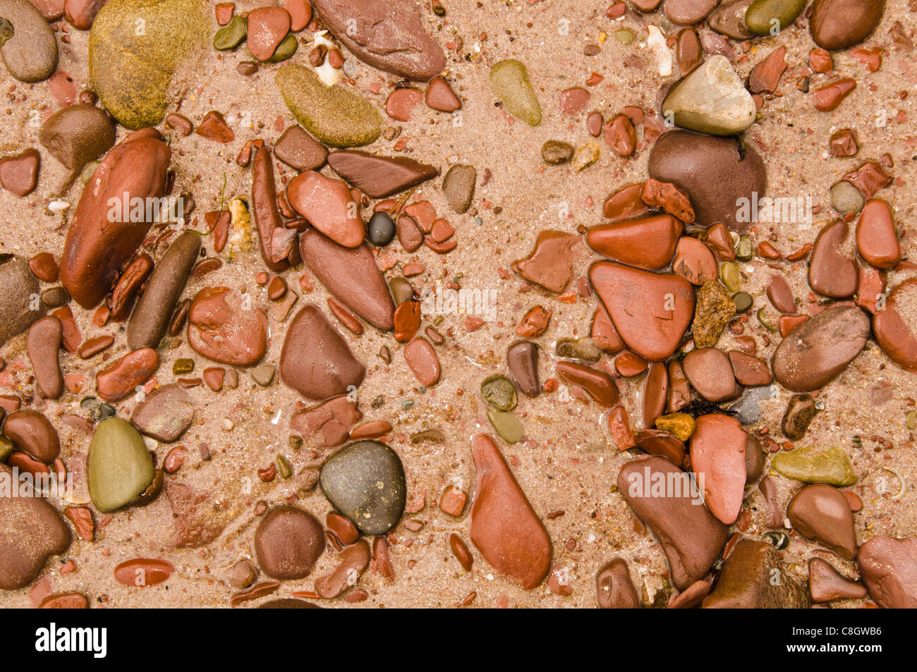 Pebbles on a beach Stock Photo Alamy