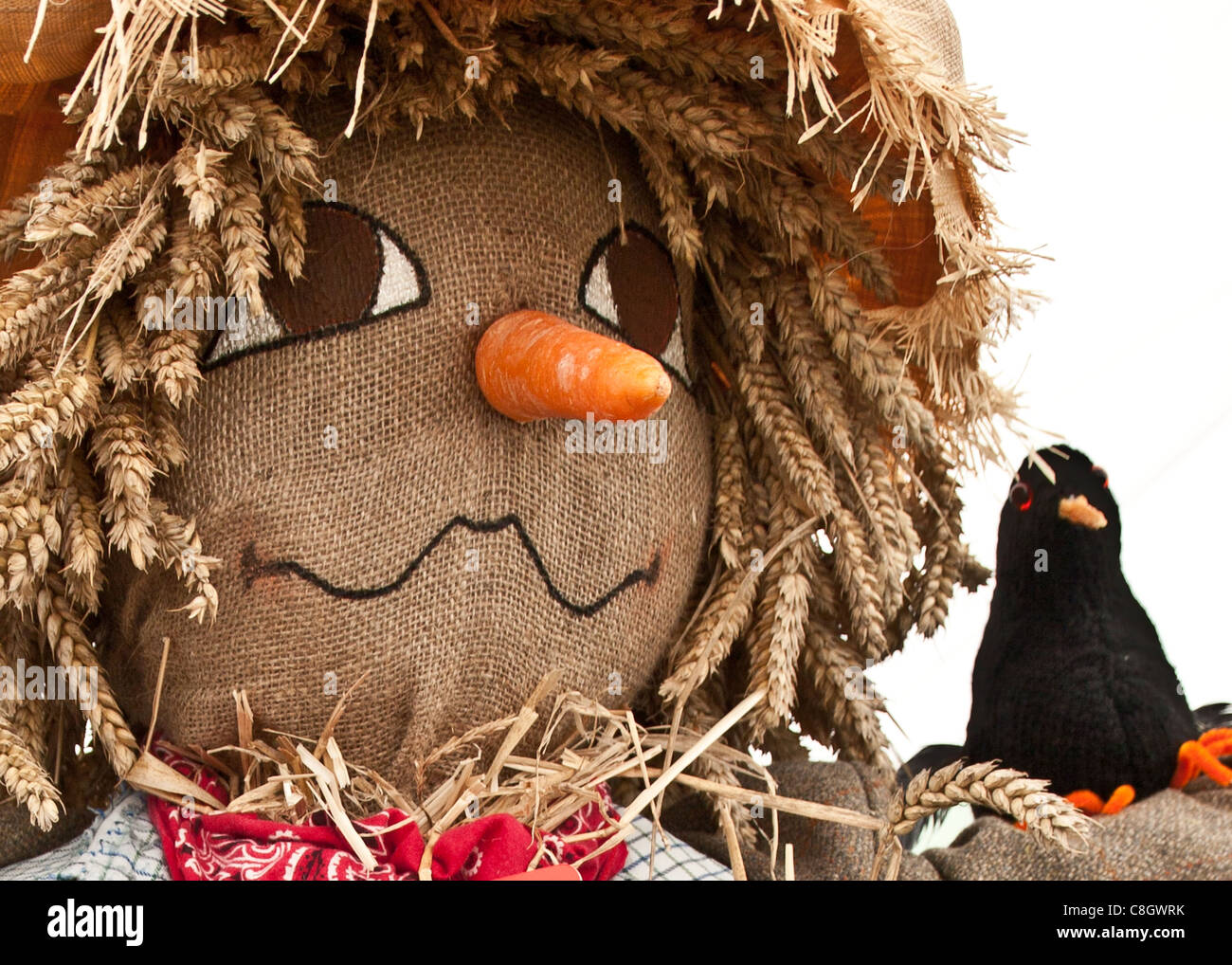 Scarecrow hand hi res stock photography and images Alamy