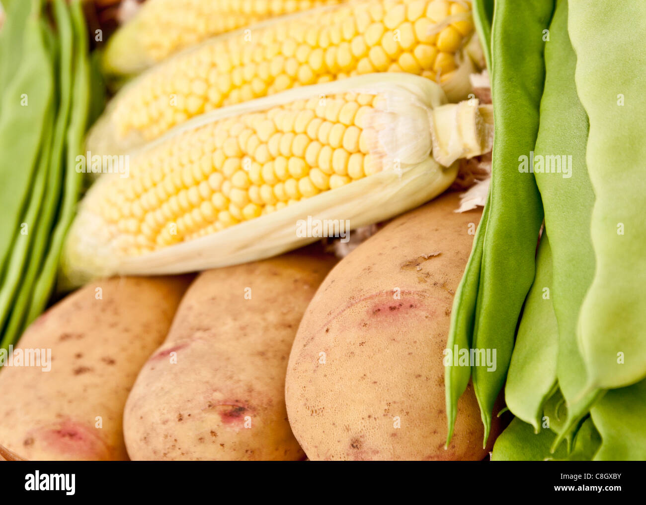 https://c8.alamy.com/comp/C8GXBY/homegrown-english-vegetables-C8GXBY.jpg