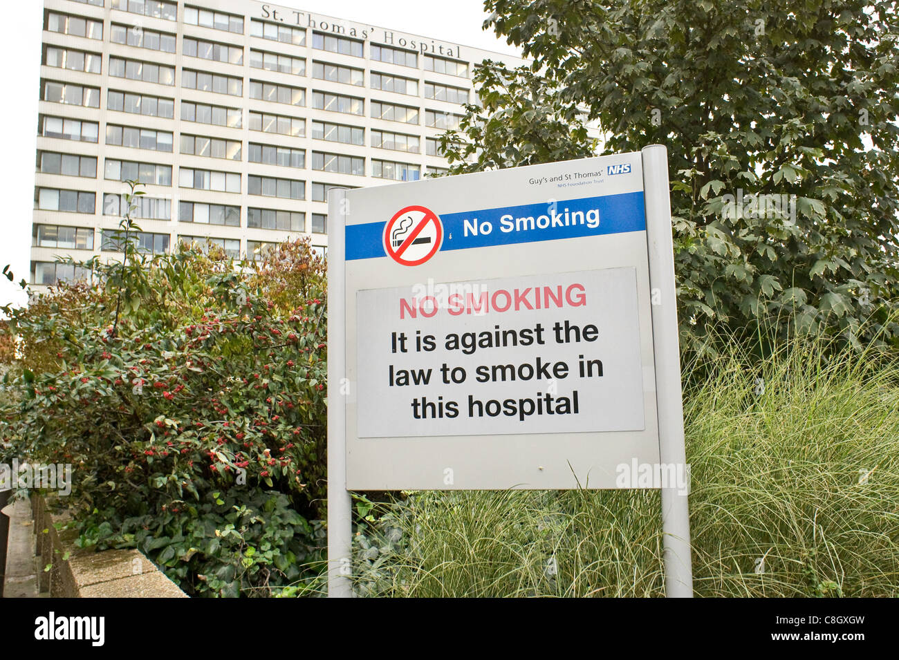 St Thomas Hospital London Stock Photo